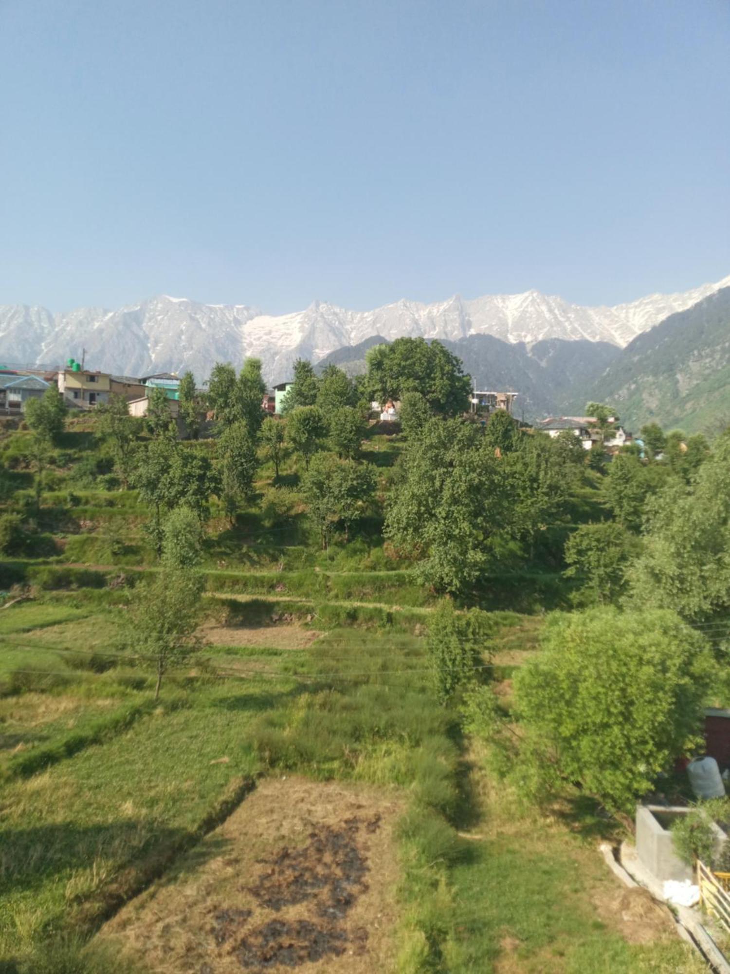 Nirmal Homestay Dharamshala Habitación foto